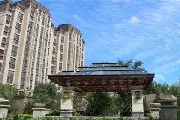 什么是腰线层